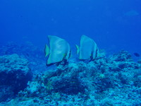 今日は陸より海の中が温かい！