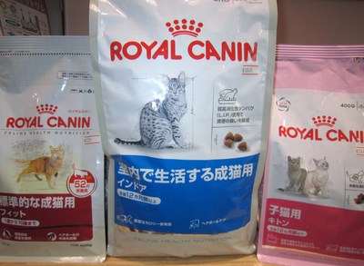 オンリーワンおすすめ＆新商品