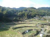 八日目の蝉　笑っちゃいました 2011/06/05 15:41:30