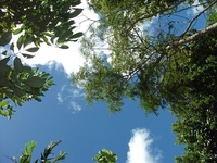 緑いっぱい植物園 2010/08/15 13:42:50