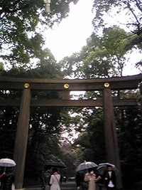 2010年07月17日