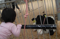 moomoo 2009/04/17 15:07:19