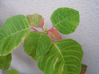 今頃… 2009/04/08 14:05:27