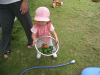 目指せ！自然農法 2009/06/03 15:51:51