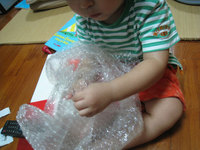 プチプチ　×　反抗期 2008/09/23 01:14:44