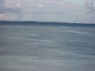たらまーの海