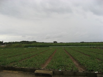 喜屋武岬５