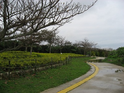 漫湖公園