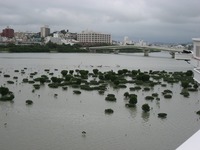 まえばる？ 2010/09/26 18:55:22