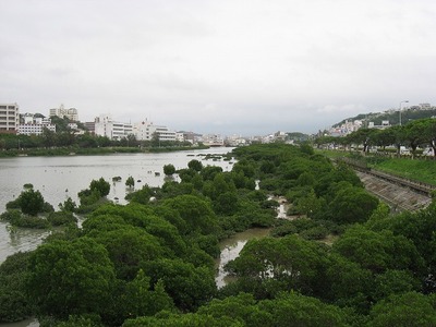 漫湖