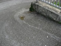 南風原２ 2011/01/10 08:40:15