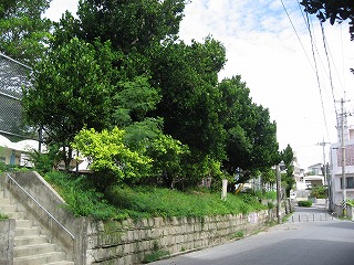 南風原３