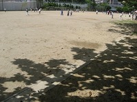 南風原５ 2011/01/13 20:10:42