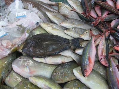 沖縄の魚