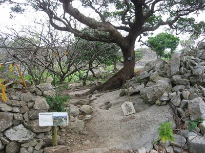 今帰仁城５