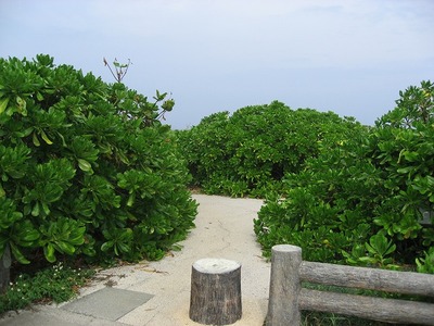 辺戸岬