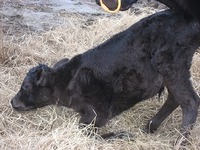 多良間に居るのか？　たらまー３７