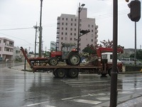 多良間に居るのか？　たらまー４０