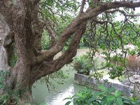 首里城公園 2010/09/30 19:57:37