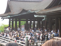 そうだ、京都行こう…１９