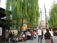 そうだ、京都行こう…２０
