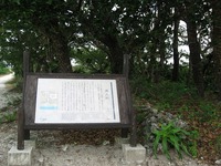 八重山巡りか？　やい、まー１６