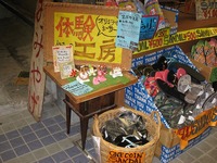 八重山巡りか？　やい、まー３０