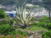 長崎１５