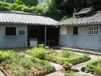 長崎１１