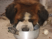 ずっと飲みだな 2010/12/05 21:55:37