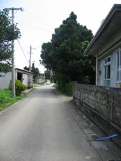これも多良間か？　４１