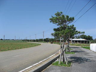 これでも多良間か？　３７