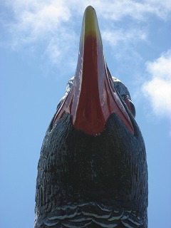 ヤンバルクイナ展望台　２
