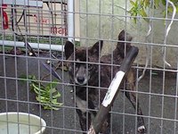 手作りランプ無料体験