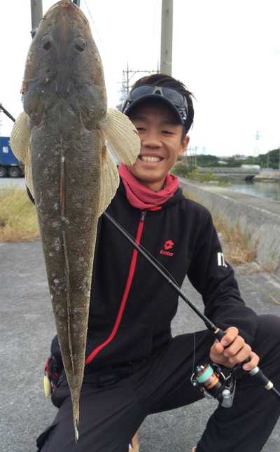 都市部の小規模河川でマゴチ。