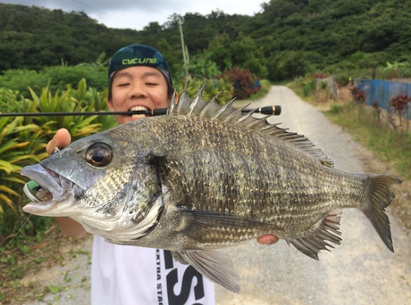 家族ドライブ中に良型チヌ！