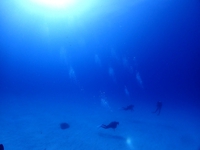 久しぶりの水納島へ！