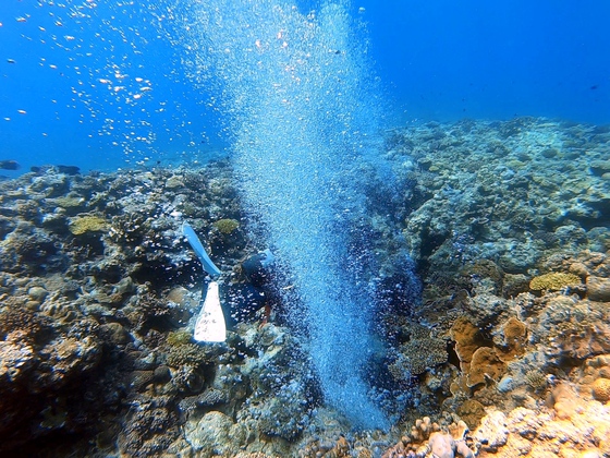 サメ狙いで万座へ！