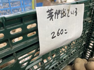 最近のハートレインボー　【2022年11月19日】