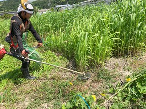 最近のハートレインボー【2024年6月29日】