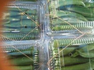 最近のハートレインボー【2021年7月31日】まだまだコロナ緊急事態期間×福祉×農業×食育　＃グルメ紹介！