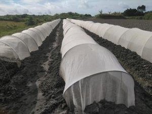 最近のハートレインボー【2021年8月21日】まだまだコロナ緊急事態期間×福祉×農業×食育　＃グルメ紹介！