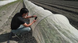 最近のハートレインボー【2021年10月30日】　＃就労継続支援A型　＃農業