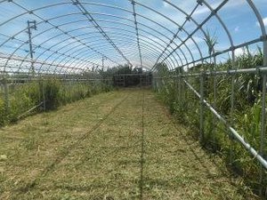 最近のハートレインボー【2021年8月21日】まだまだコロナ緊急事態期間×福祉×農業×食育　＃グルメ紹介！