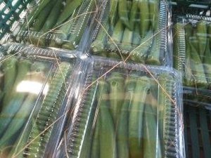 最近のハートレインボー【2021年8月21日】まだまだコロナ緊急事態期間×福祉×農業×食育　＃グルメ紹介！
