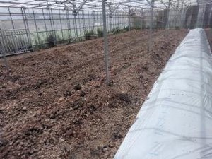 最近のハートレインボー【2021年8月21日】まだまだコロナ緊急事態期間×福祉×農業×食育　＃グルメ紹介！