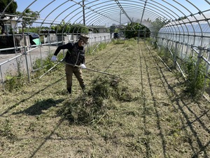 最近のハートレインボー【2021年10月30日】　＃就労継続支援A型　＃農業