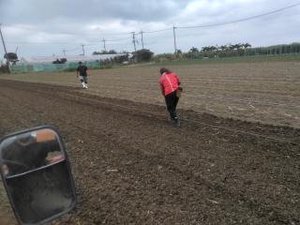最近のハートレインボー【2021年12月19日】　＃就労継続支援A型　＃農業