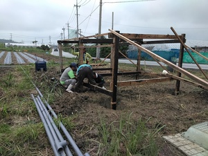 霧雨のような・・・