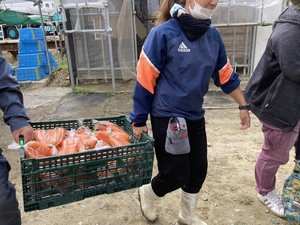 最近のハートレインボー【2022年2月5日】　＃就労継続支援A型　＃農業